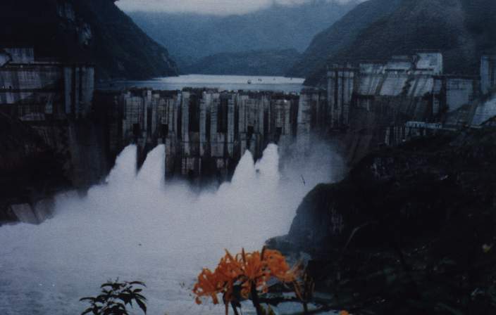 Image-21.jpg