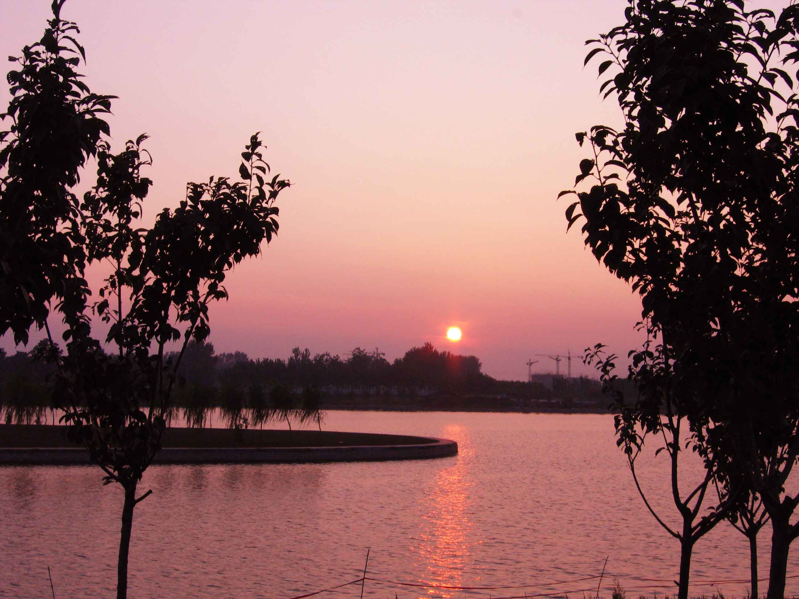 050823004c.jpg