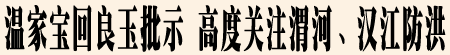 dbt.gif
