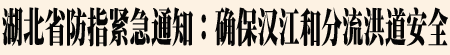 �°�����.gif