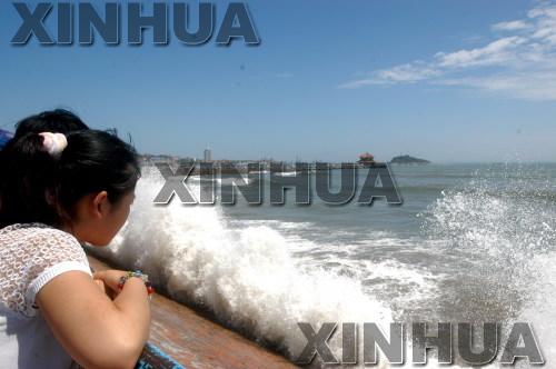 xin_440703110920221256371244.jpg
