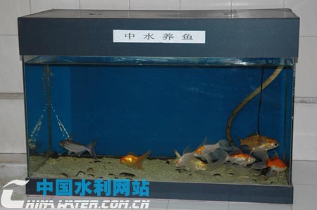 DSC_0044 .jpg
