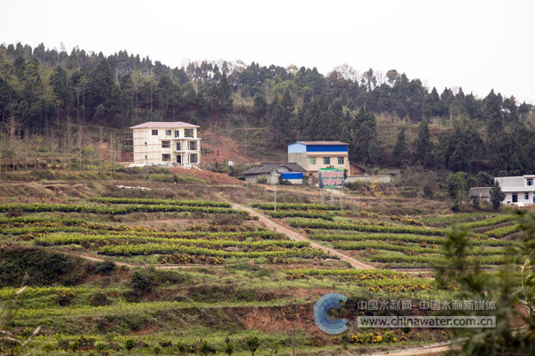 ������ (2)�н���ˮ���ֹ�ͼ.jpg