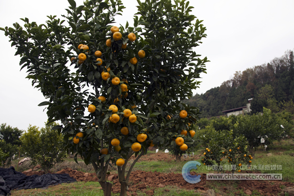 ������ (3)�н���ˮ���ֹ�ͼ.jpg