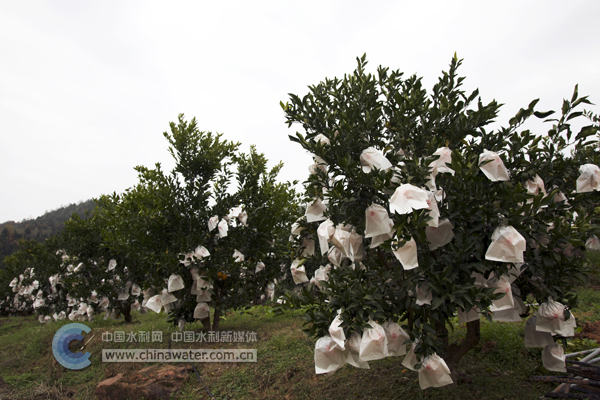 ������ (4)�н���ˮ���ֹ�ͼ.jpg