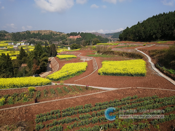 �н��ز�ҵ԰   �н���ˮ���ֹ�ͼ.jpg