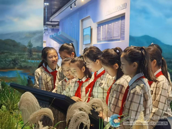 学生们走进南宁市大王滩湿地科普宣教中心 陈惠 摄