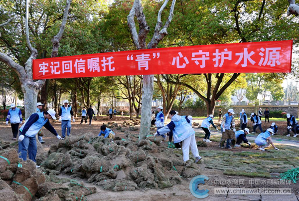 汉水文化公园铺植草皮主题志愿服务活动