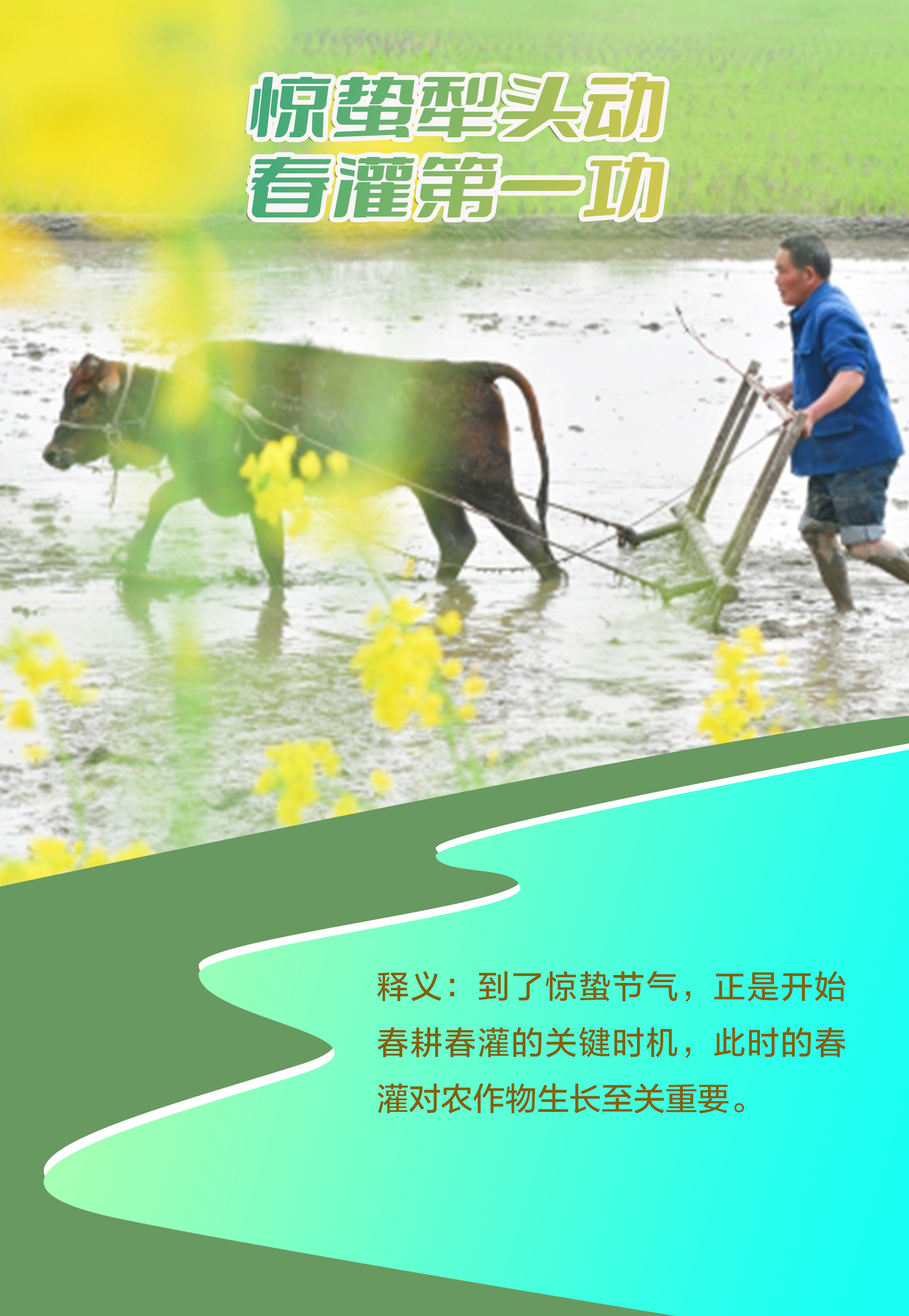 �������Ժ���8