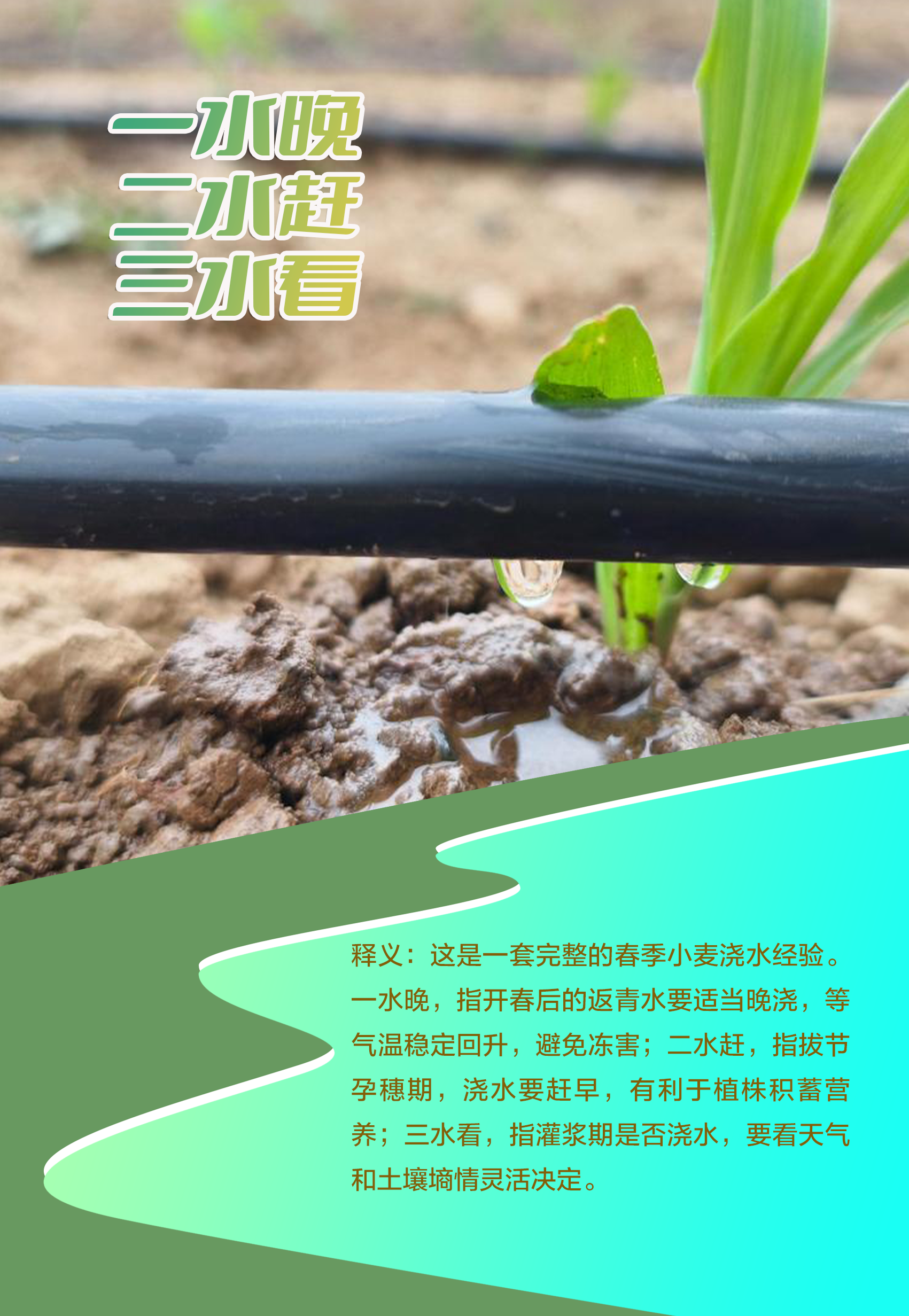 �������Ժ���4