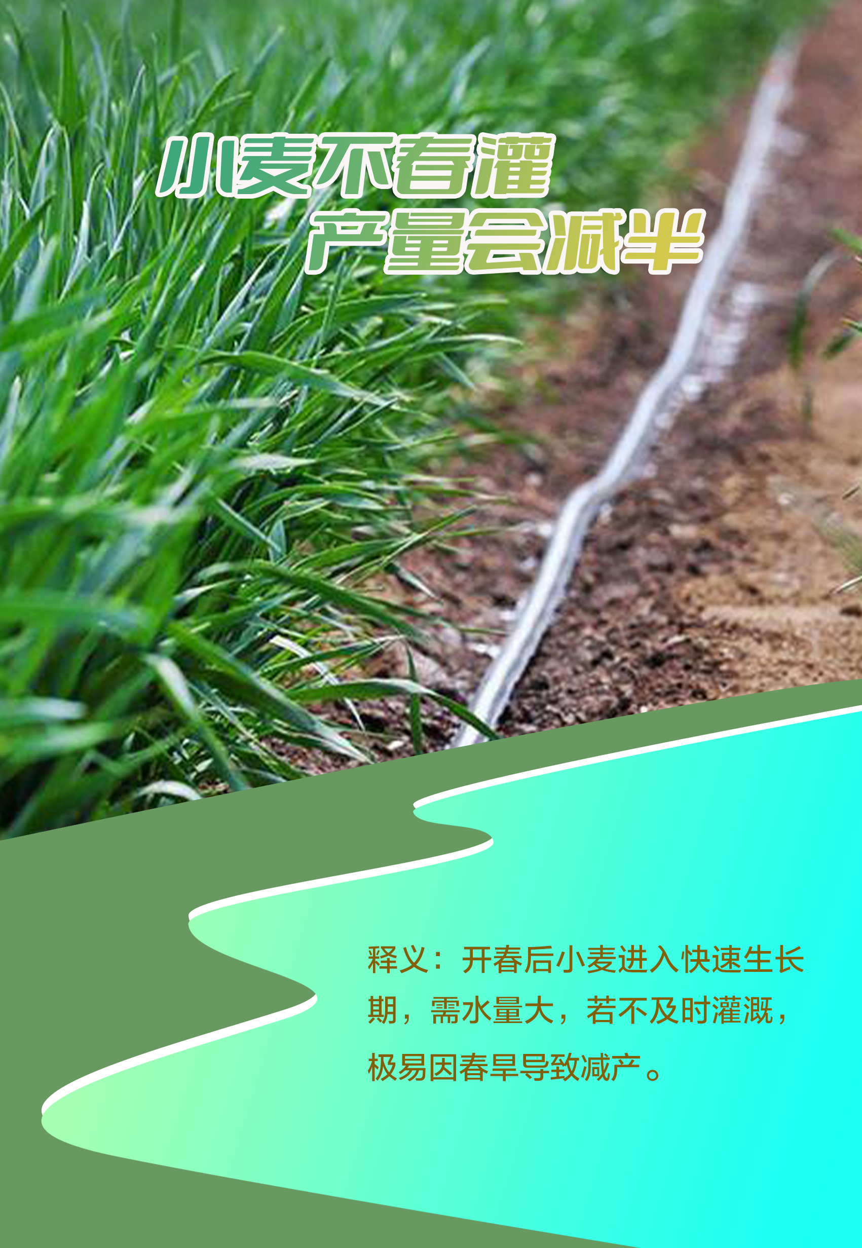 �������Ժ���2