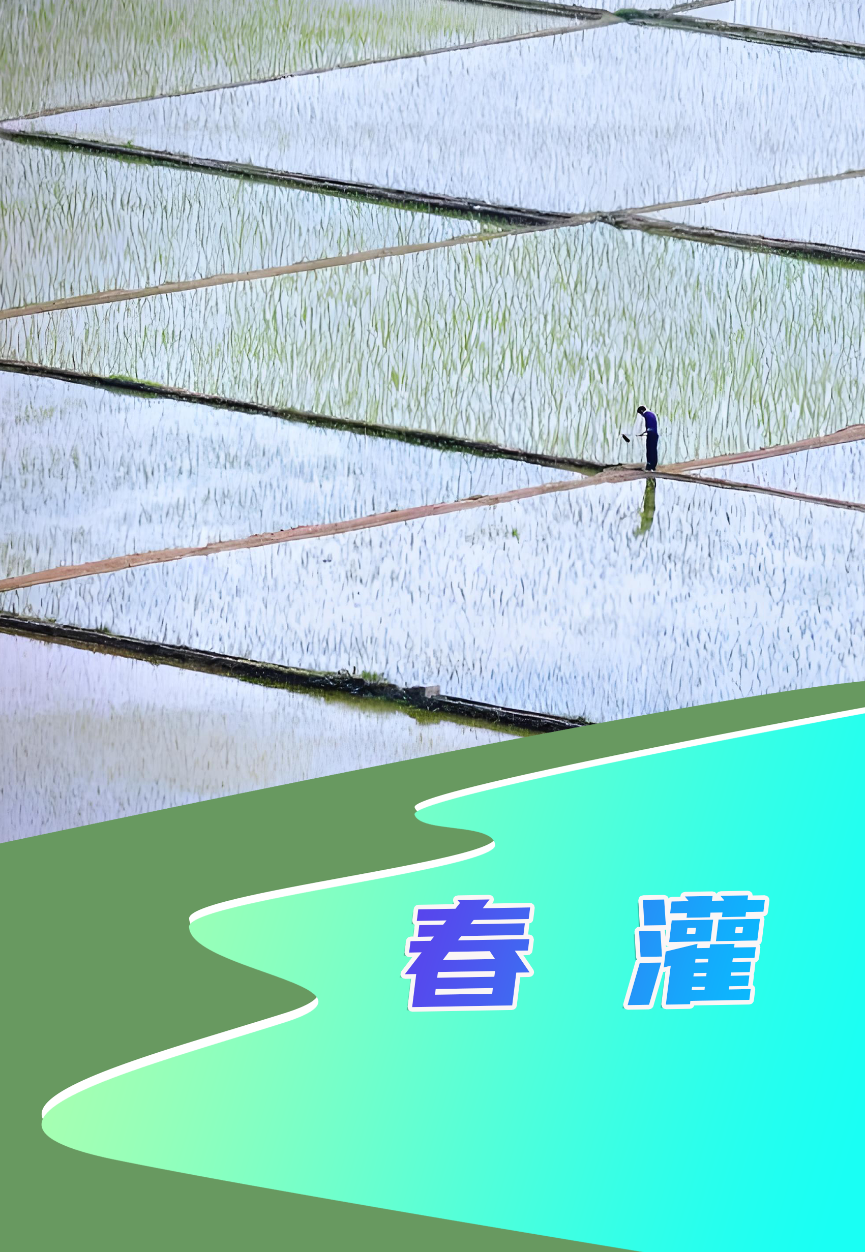 �������Ժ���1