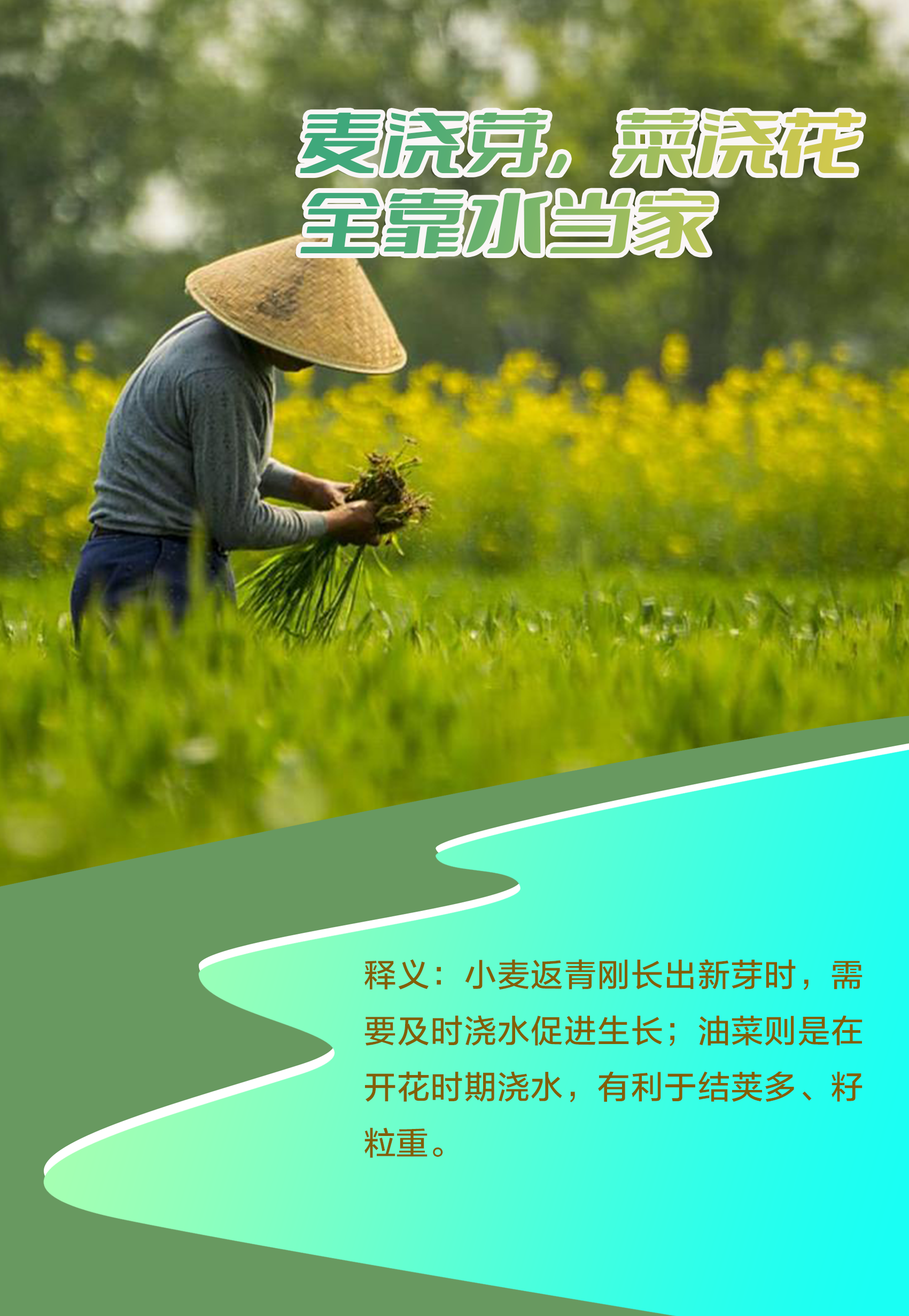 �������Ժ���5