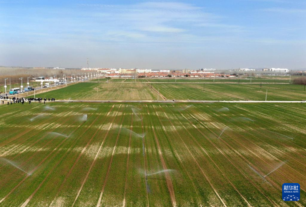 ����ũ��