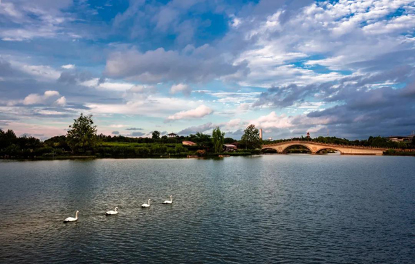 成都市河湖管理保护示范县 | 青白江:绘就一幅岸绿水清的美景图