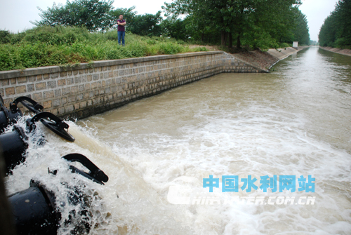 安徽寿县 水灾图片