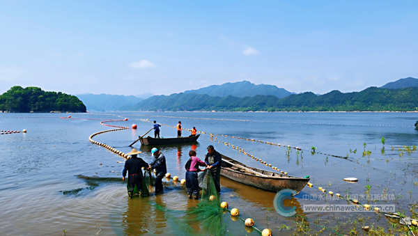 同时防止在水库放水和泄洪期间鱼类乘机逃出库外,近期,浙江省长潭水库