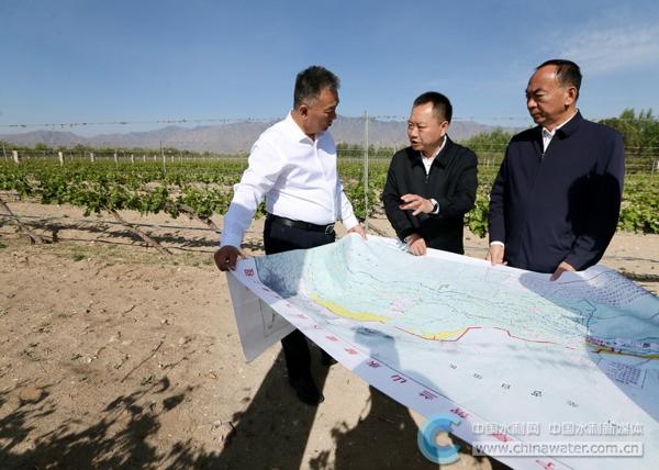 李国英调研贺兰山东麓灌区高效节水灌溉情况