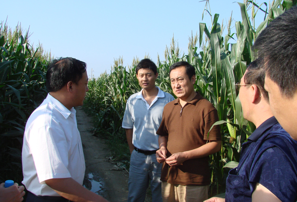 国务院南水北调办公室副主任张野实地考察征迁状况