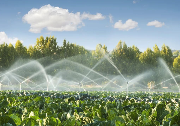 农业用水用在哪里了,如何实施节水?